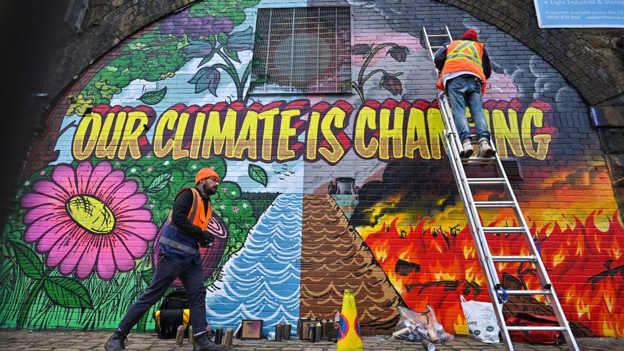 Timing of climate summit 'probably worst': Devi Sridhar