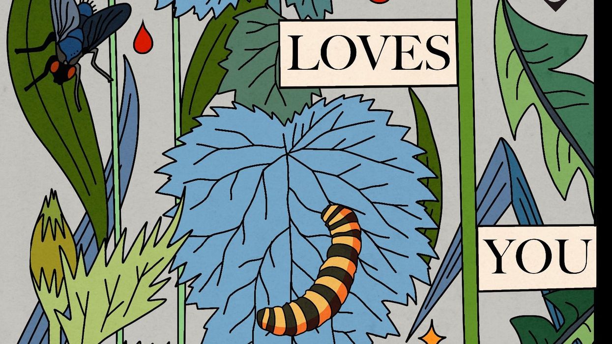 Coming-of-age story by accomplished author is a gentle simmering read