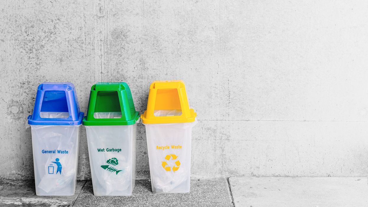 Indian trash-tackling brothers win global children's prize