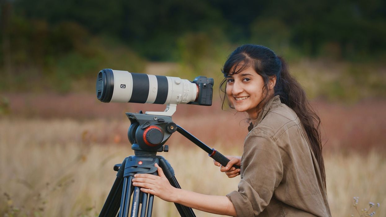 Ashwika Kapur’s wildlife mission – How a family of ‘vegetarian’ tigers saves a forest