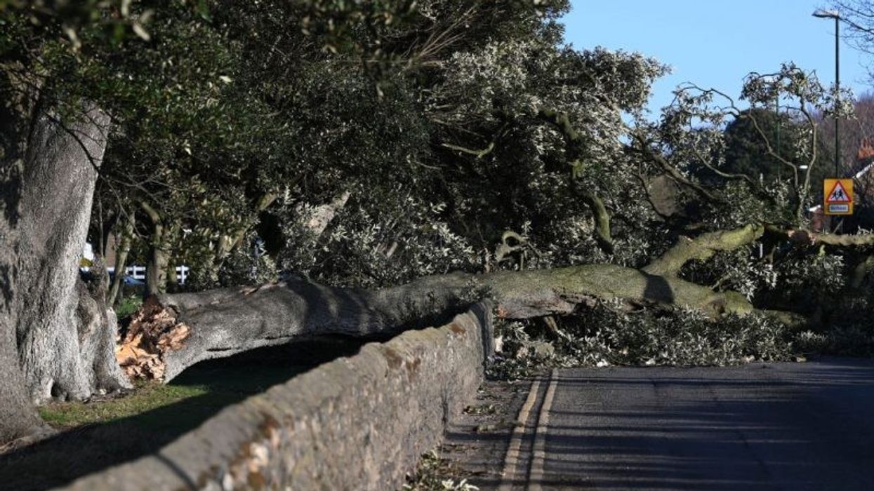 Storm Eunice: 150,000 British homes still without power