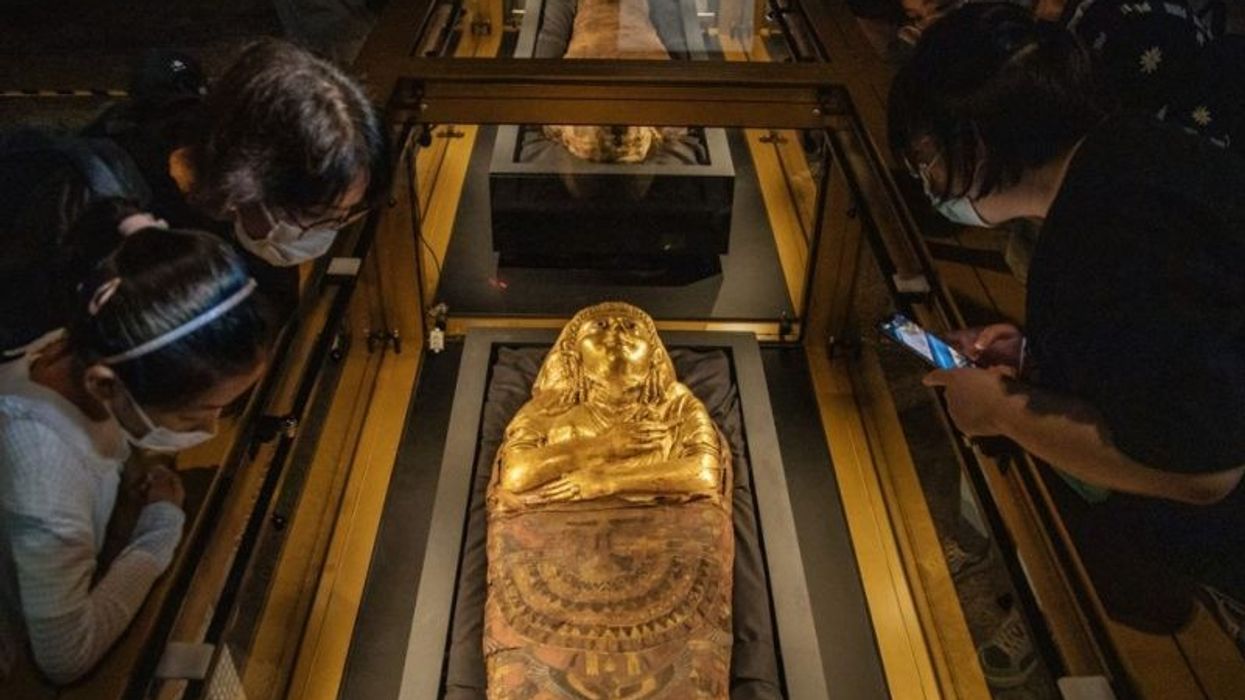 Manchester Museum to reopen next year