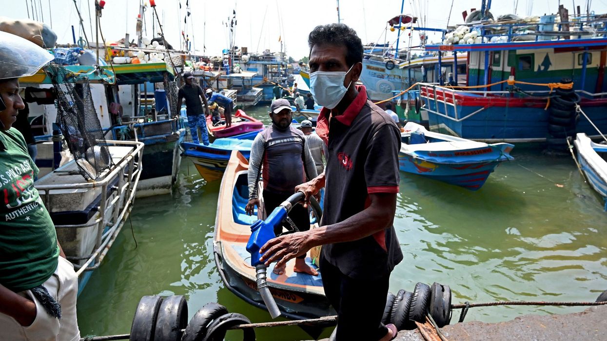 Plenty of fish but no catch as Sri Lanka economic crisis bites