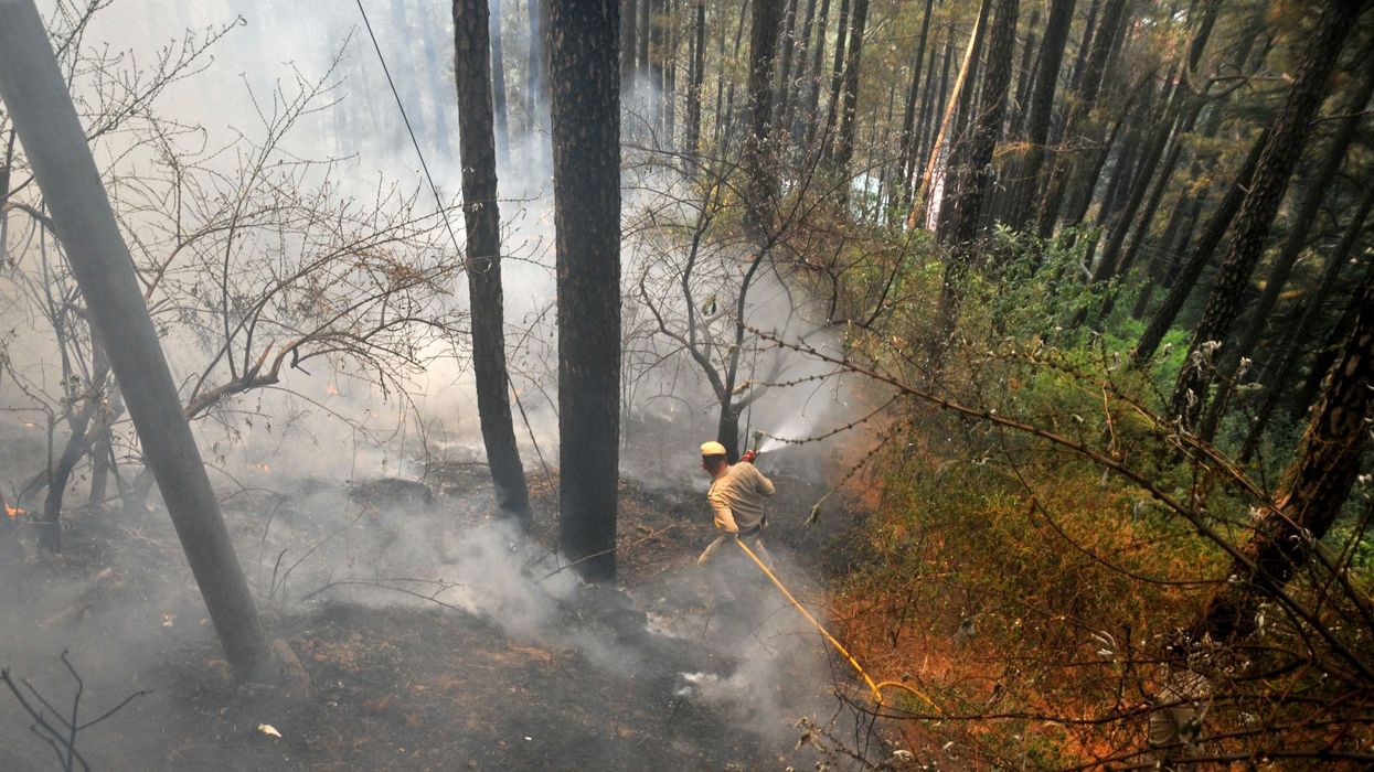Power cuts, forest fires in South Asia heatwave