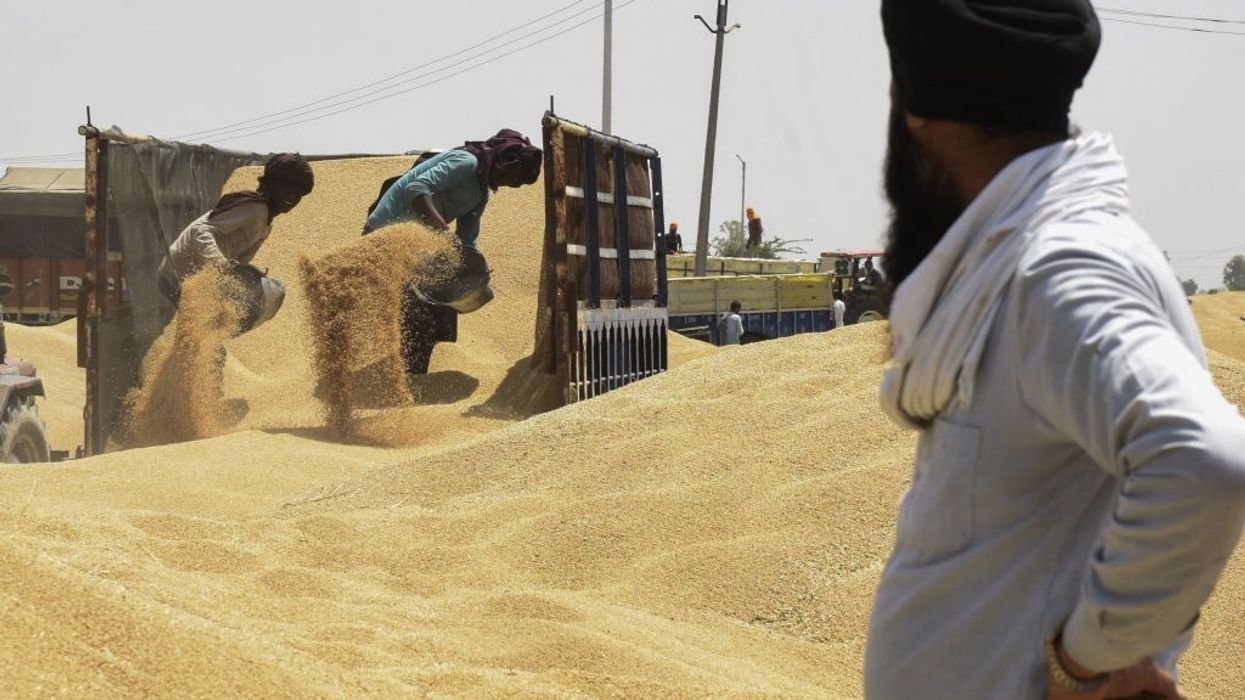 India bans wheat exports as domestic prices soar