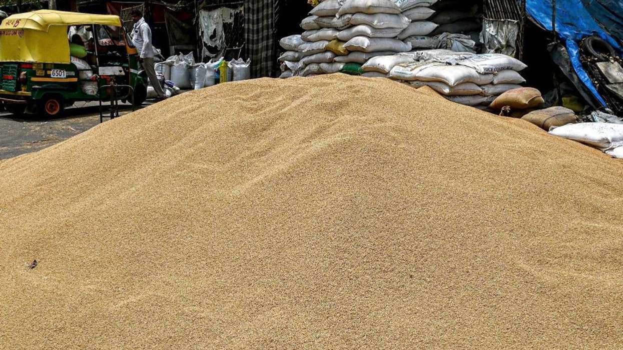 US urges India to reverse ban as wheat-laden trucks, ships stranded at port