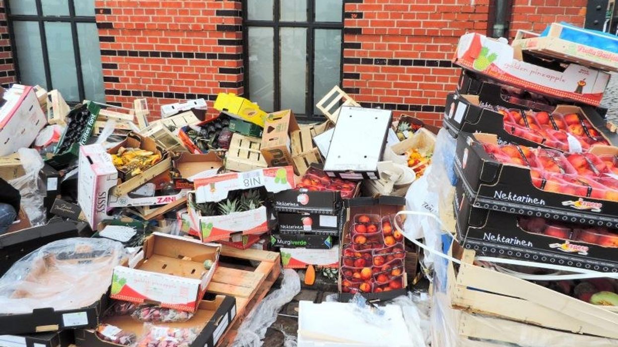 The UK wastes millions of tonnes of food every year: Here's how we can change that