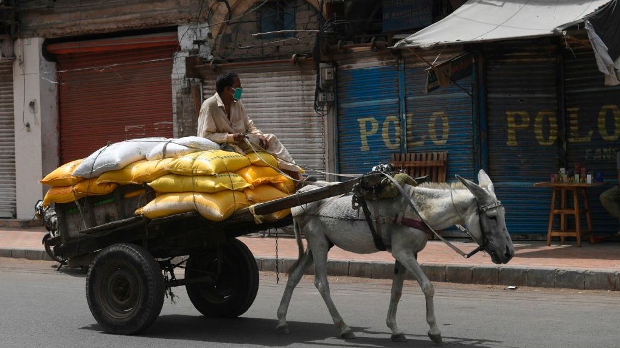 Pakistan's civil aviation employee seeks permission to ride donkey cart to work over soaring fuel prices