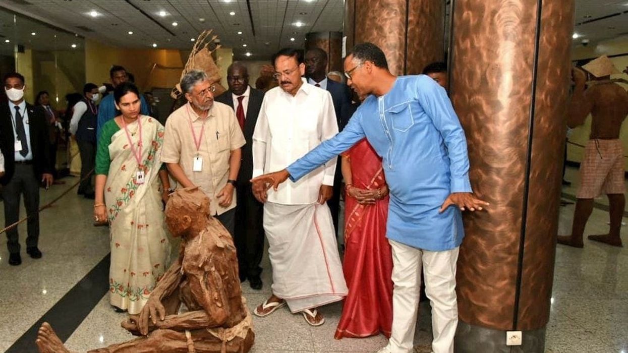 Indian diaspora has created immense goodwill for country, says VP Naidu in Senegal