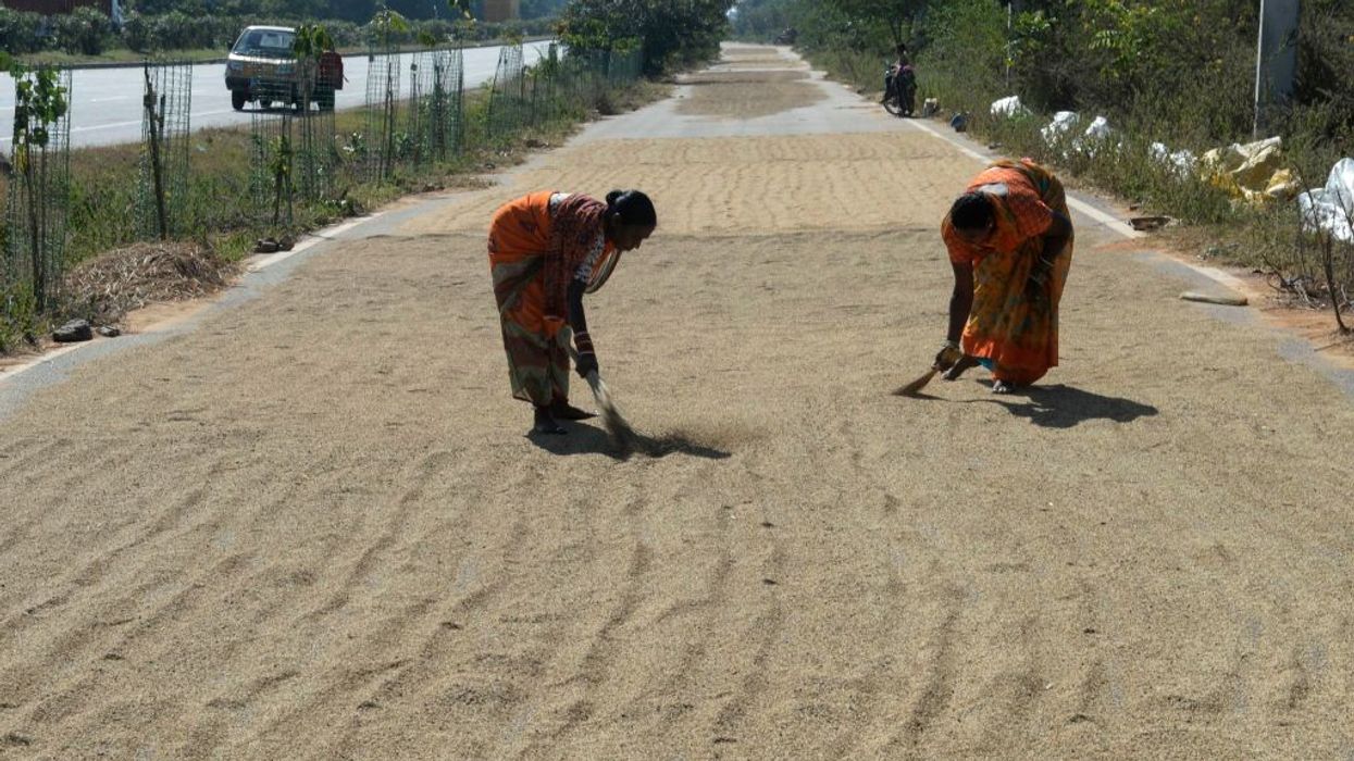 Explainer-Why India holds the key to global rice market outlook