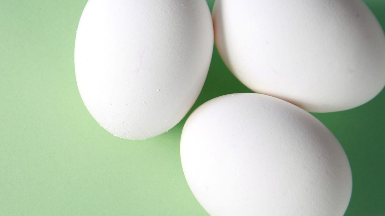 Study: Consuming moderate quantity of eggs can boost heart-friendly, healthy metabolites in blood