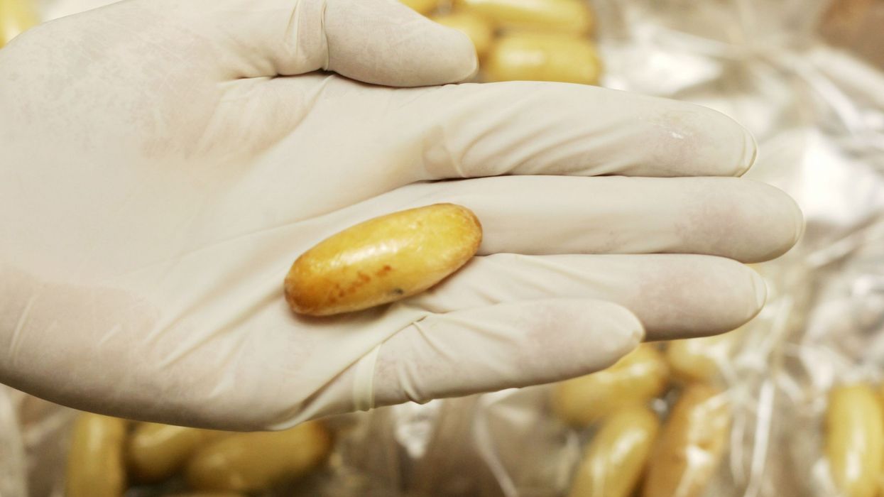 UK police seize drug worth £17.5 million at Channel Tunnel