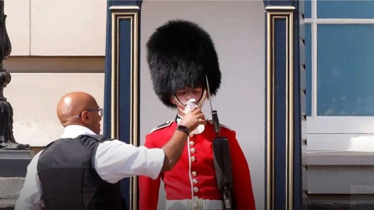 'This is stupid and irresponsible': Netizens outrage over thirsty Queen's Guard outside Buckingham palace amid heatwave