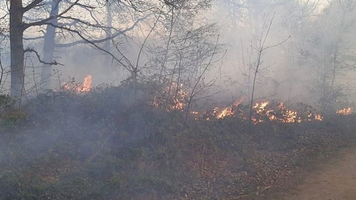 Fire engulfs homes near London as temperatures hit record 40C