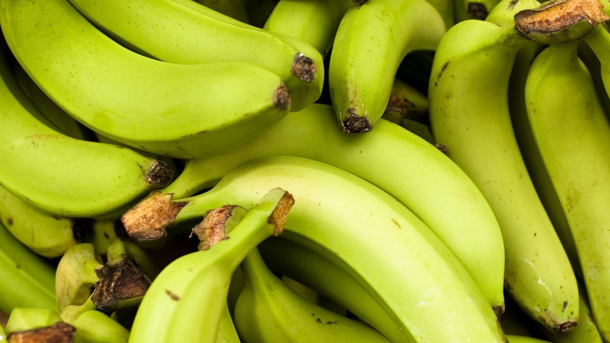 Green bananas can reduce the risk of the deadly disease that kills 10 million a year, read on