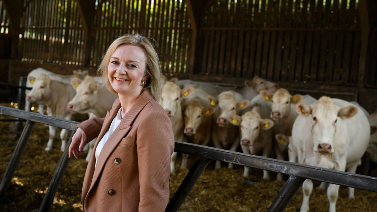 Liz Truss: Tory frontrunner for PM claiming to be Thatcher's heir