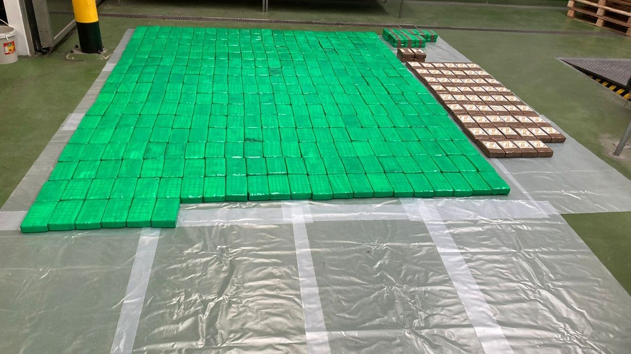 Cocaine worth £40m found hidden in Colombian banana shipment at Essex port