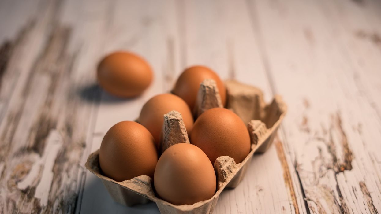 Morrisons comes up with 'carbon-neutral eggs' laid by chickens fed on insects and food waste