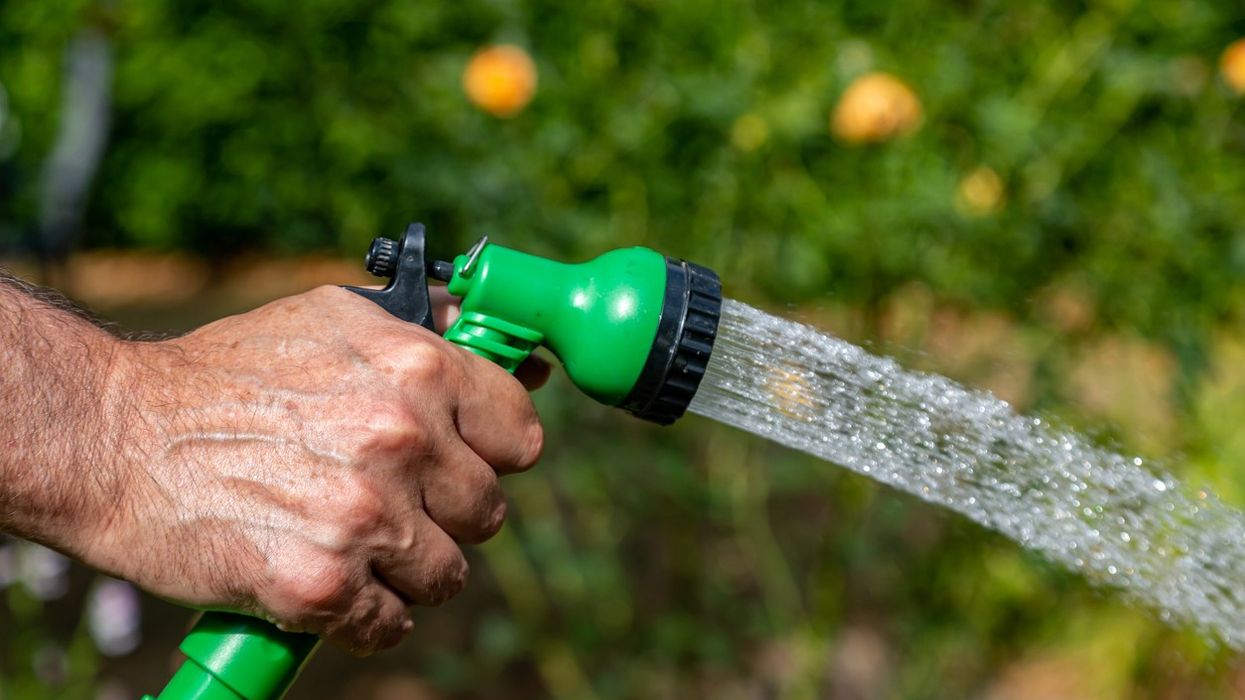 South East Water announces hosepipe ban as dry weather continues