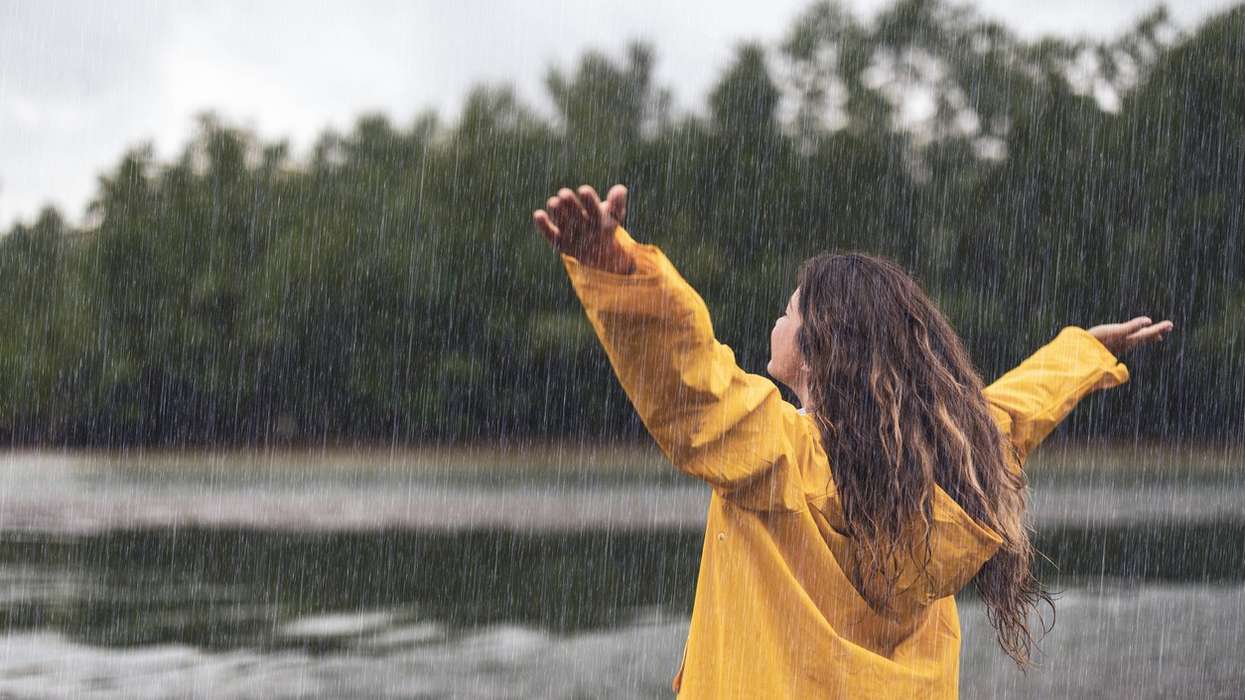 Rainwater contains cancer-causing ‘forever chemicals’, study finds