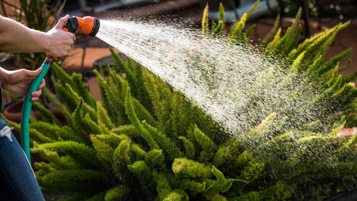 UK's Yorkshire Water to introduce hosepipe ban from August 26