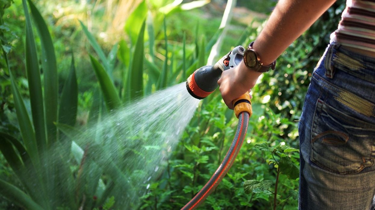 London set for hosepipe ban from Aug 24
