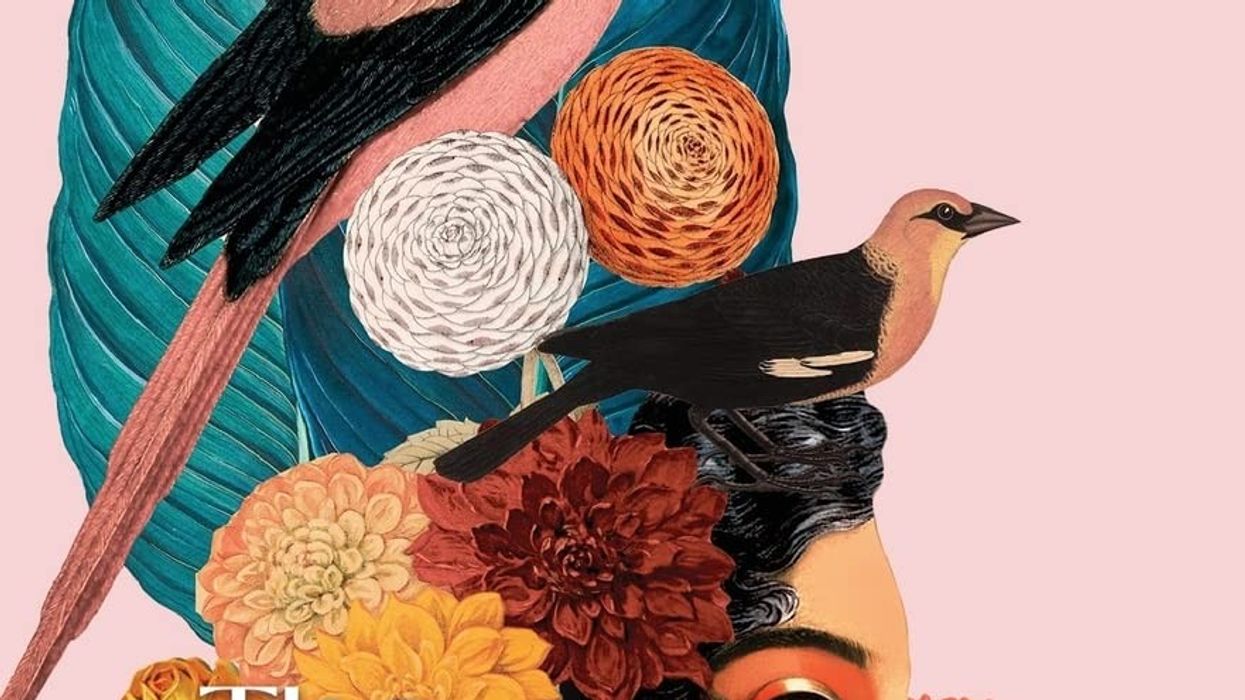 Review: Tongues and Bellies - Unique anthology explores diverse south Asian experiences