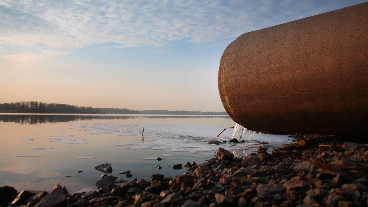 European Commission looks into complaints over UK sewage dump