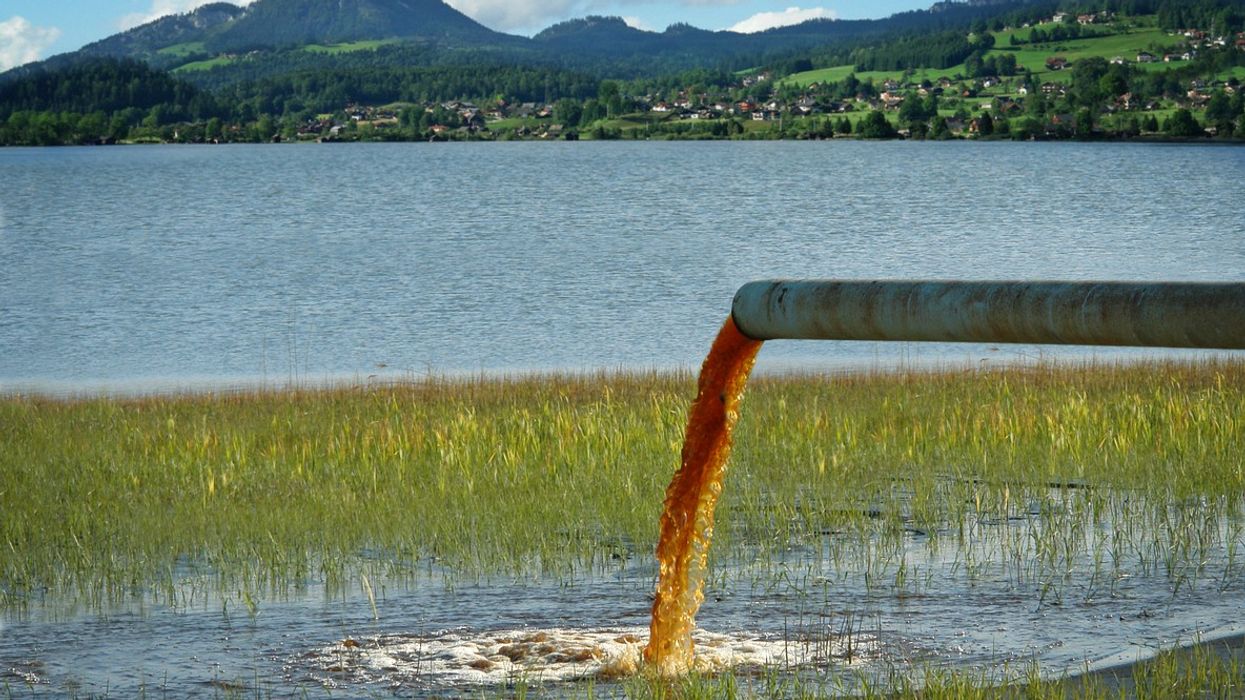 Possible faecal pollution in ‘excellent’ beach 40 times higher than usual