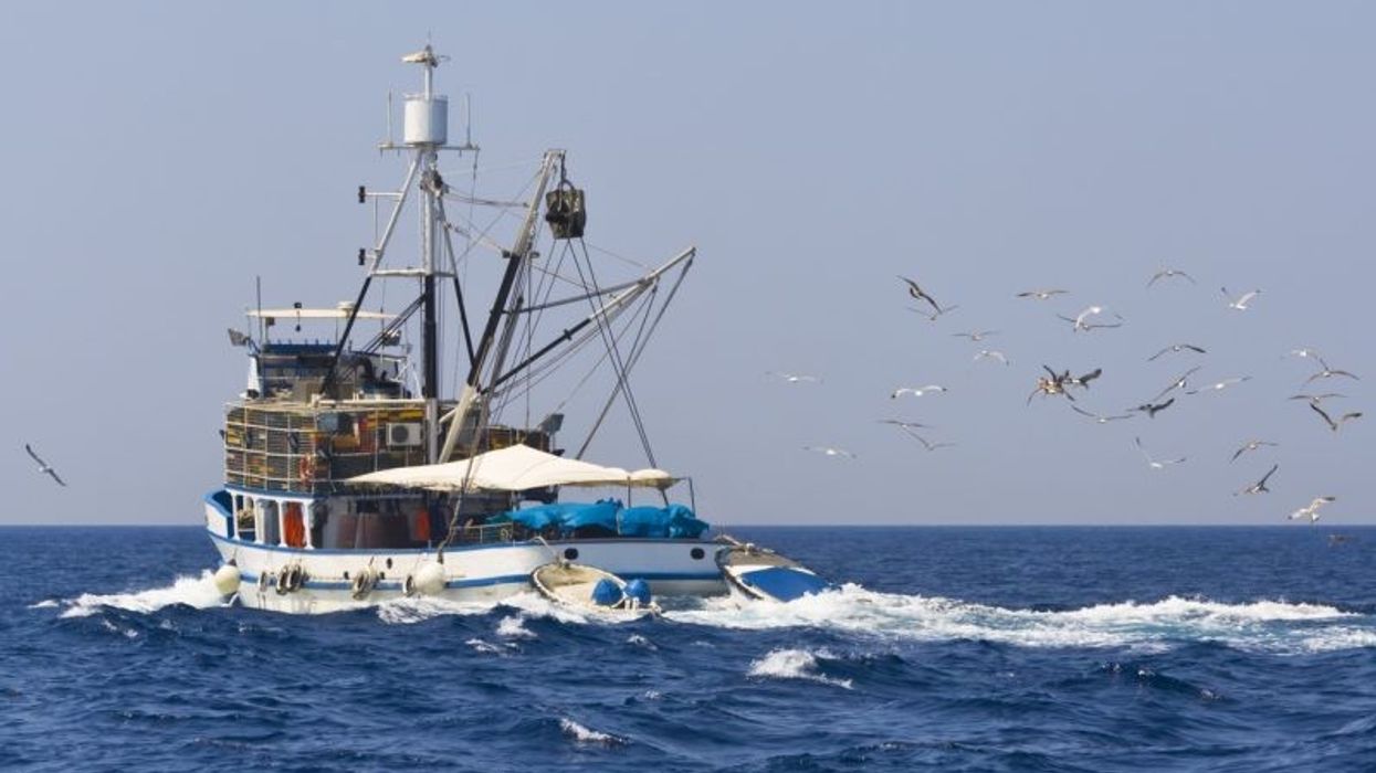 Greenpeace drops boulders on UK seabed to block bottom-trawling fishing