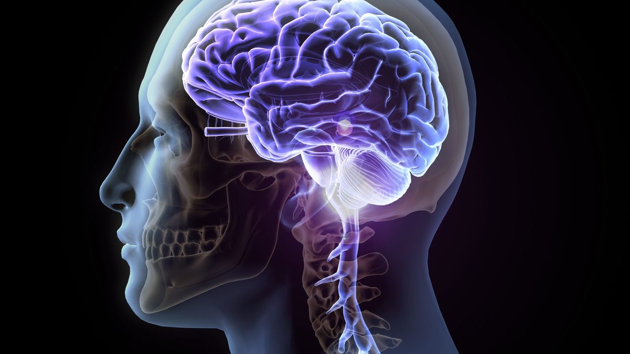 Supplements for brain health ‘a huge waste of money’ and ineffective - experts say