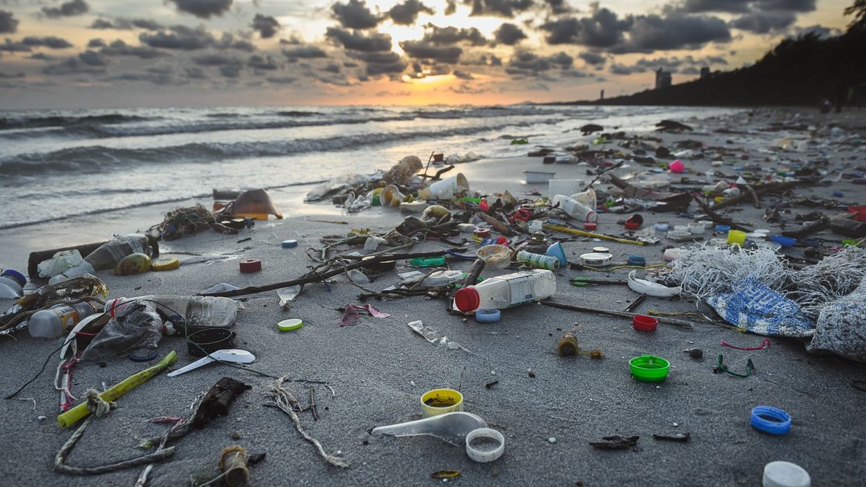 US based NGO apologies for 'waste colonialism’ report blaming Asia for global marine pollution