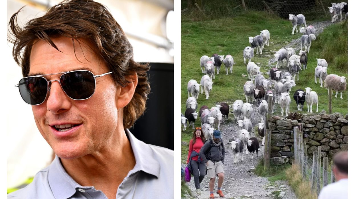 Filming for Tom Cruise starrer Mission Impossible 8 paused due to an unexpected invasion by a flock of sheep in the UK
