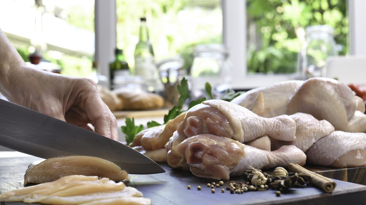 Bird flu: What happens if you consume an infected chicken?