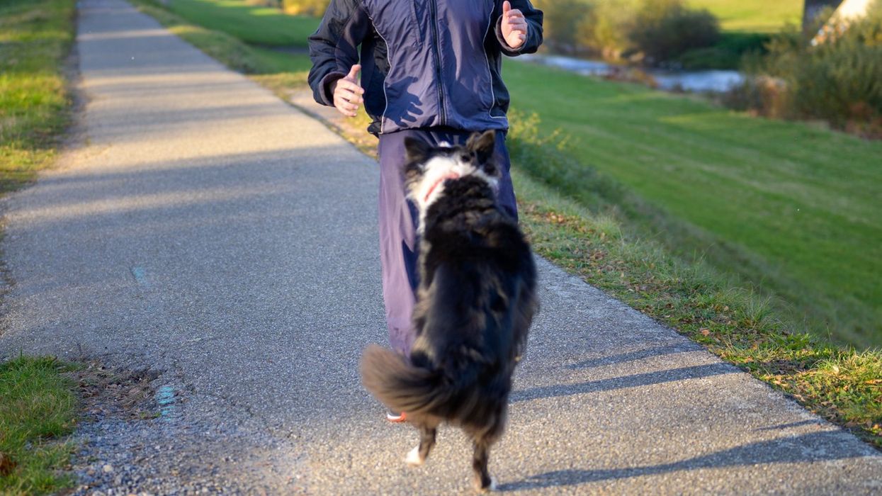 Bangladeshi man 'mauled by dog' while on London holiday spends £5,000 on medical expenses