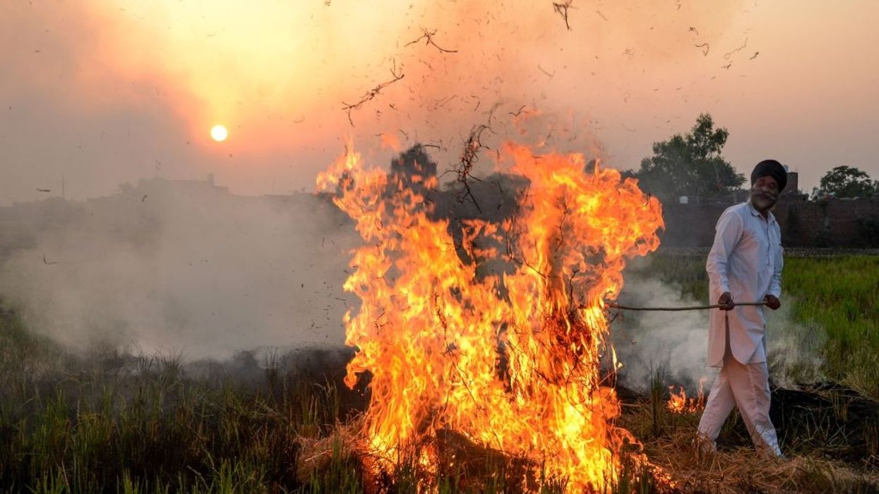 Farmers cite lack of options as stubble burning turns air toxic in northern India