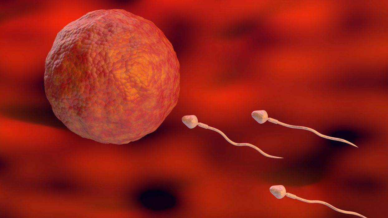 Significant decline in sperm counts globally, including India: Study