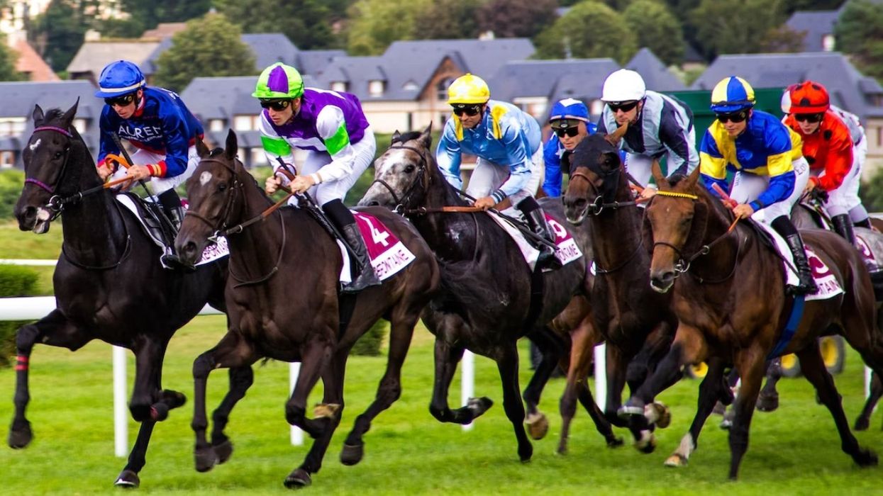 Looking Forward to the Ladbrokes Christmas Festival