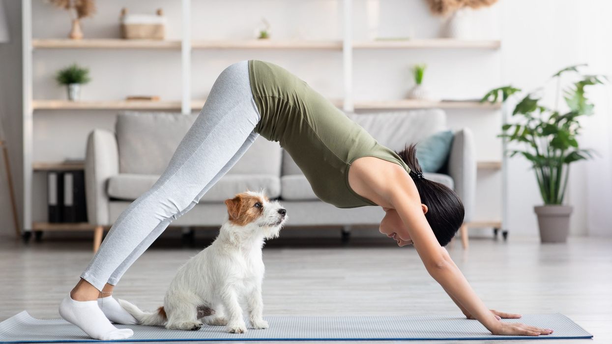 Millennials turning to puppy yoga to find balance in their lives