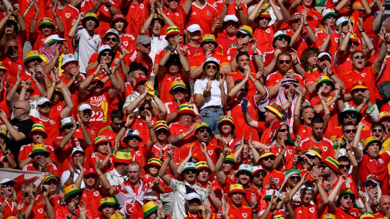 Experts list 'camel flu' among eight disease threat during the World Cup in Qatar