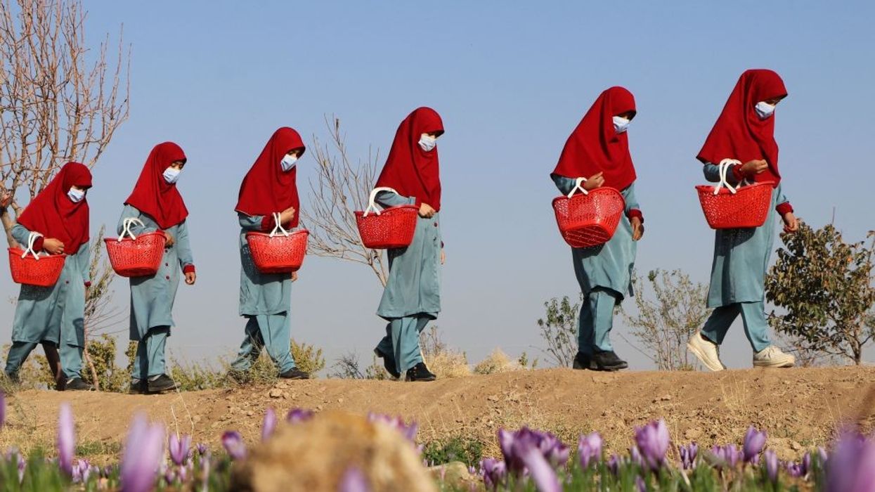 Taliban's treatment of women may be a crime against humanity: UN experts