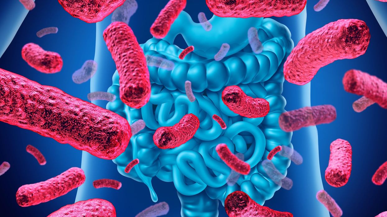Gut microbes disturbed by COVID-19 infection, antibiotics: Research