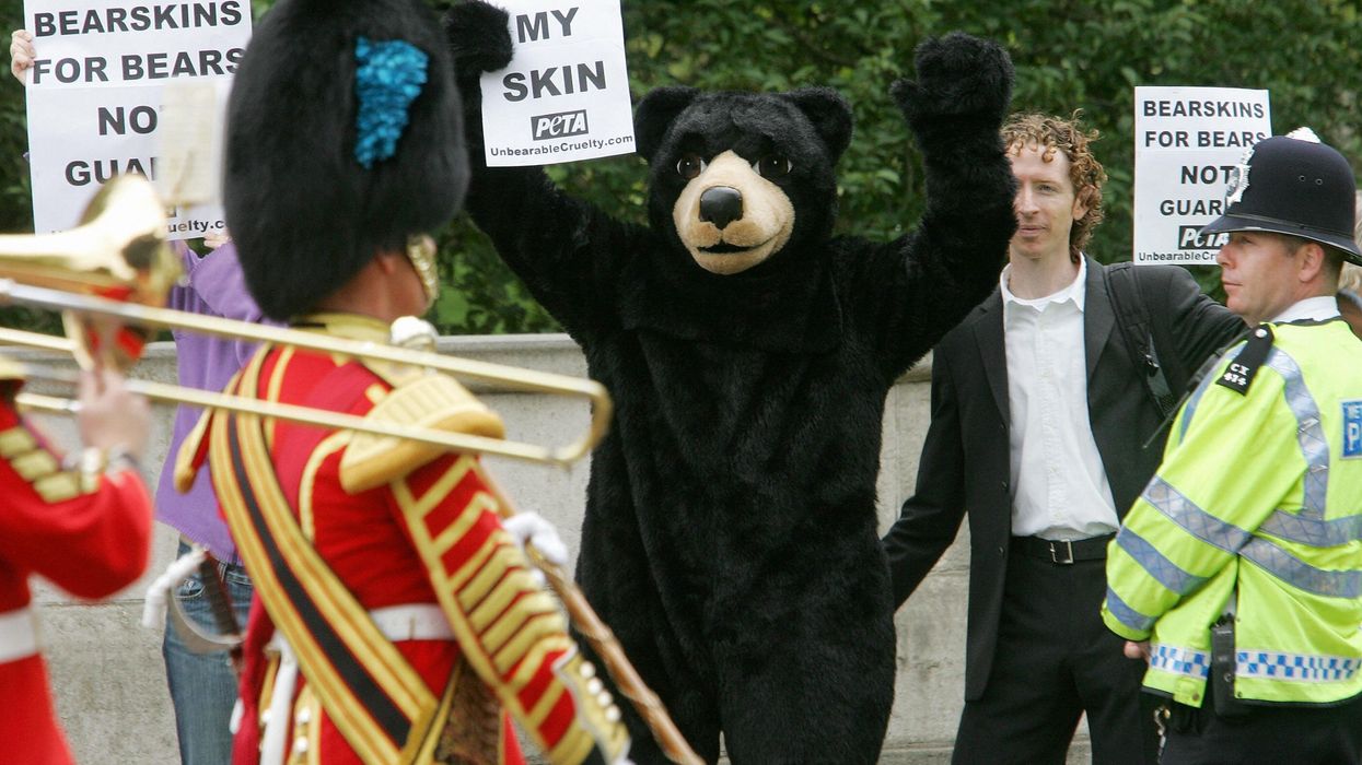 PETA takes UK military to court for rejecting fake fur hats