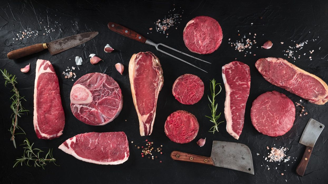 What is viral TikTok trend 'the Lion Diet' and is it safe?