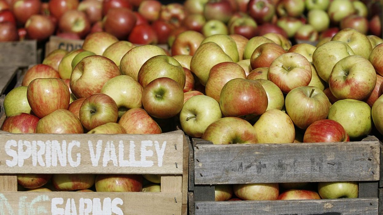 Washington lawmakers seek removal of tariffs on American apples imported by India