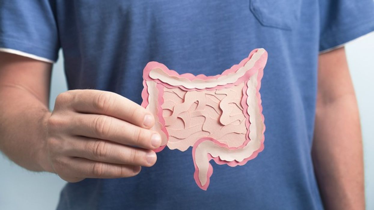 Study reveals how gut microbiome affect brain health