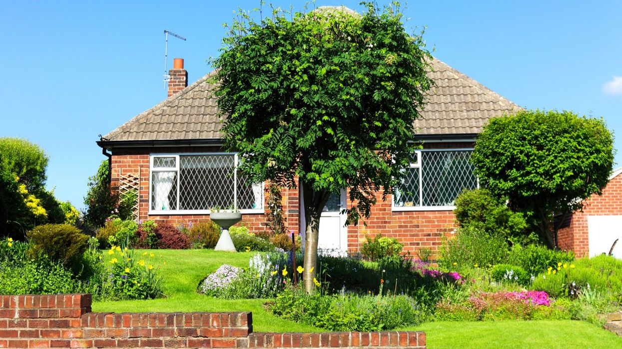 Waterthorpe neighbours 'still at war' over chopped fir tree