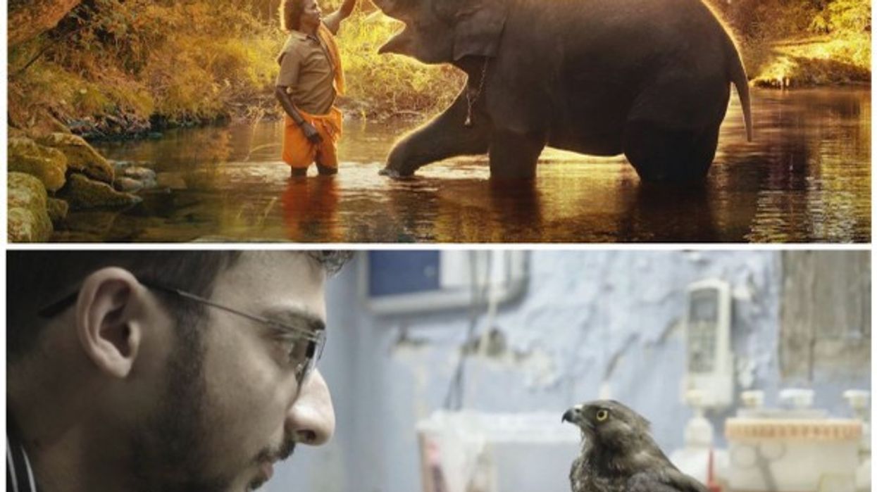 Indian documentaries All That Breathes and The Elephant Whisperers make it to Oscar nominations
