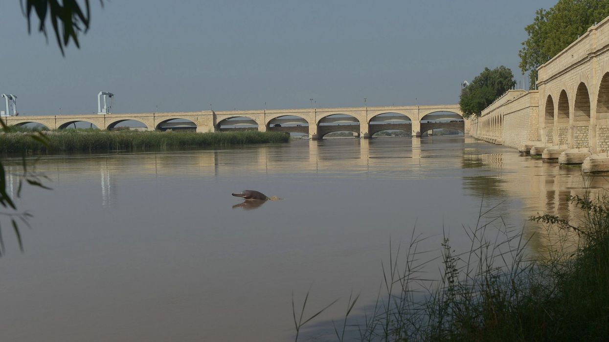 India wants to keep third parties out of water treaty with Pakistan - sources
