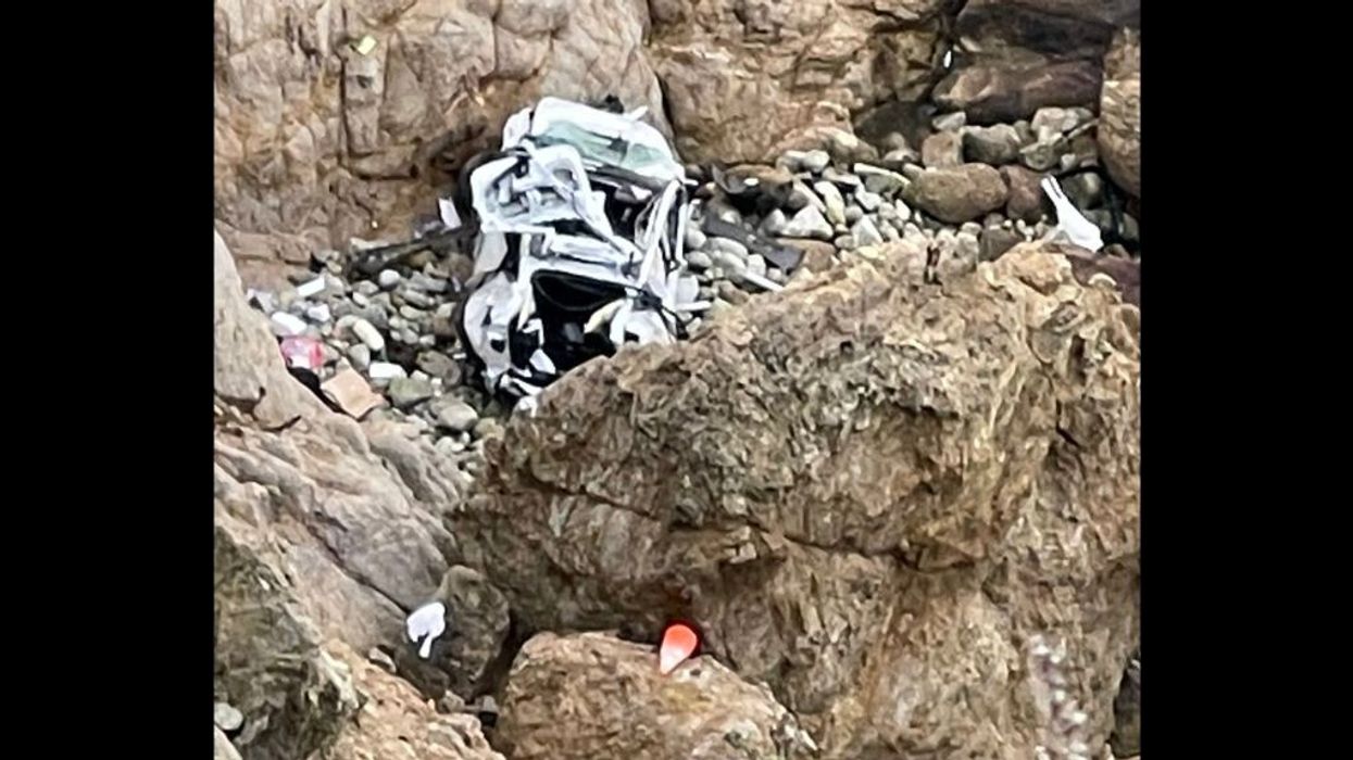US: Driver of Tesla that fell off California cliff with his family inside taken to jail from hospital